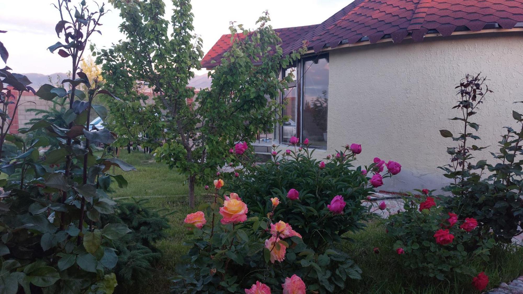 Svetlana Guest House Bokonbayevo Extérieur photo
