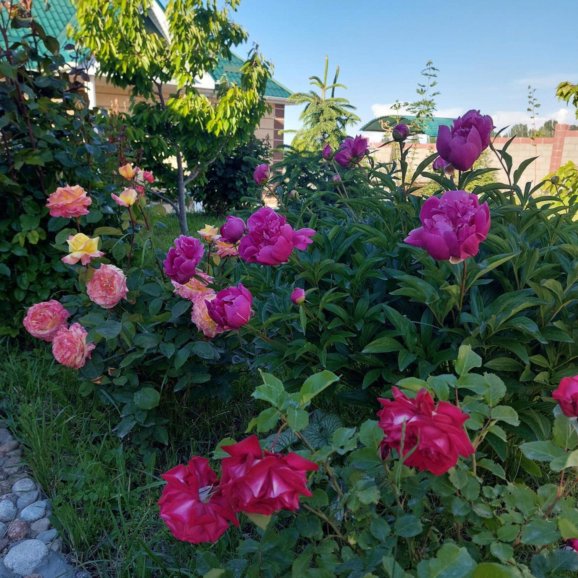 Svetlana Guest House Bokonbayevo Extérieur photo