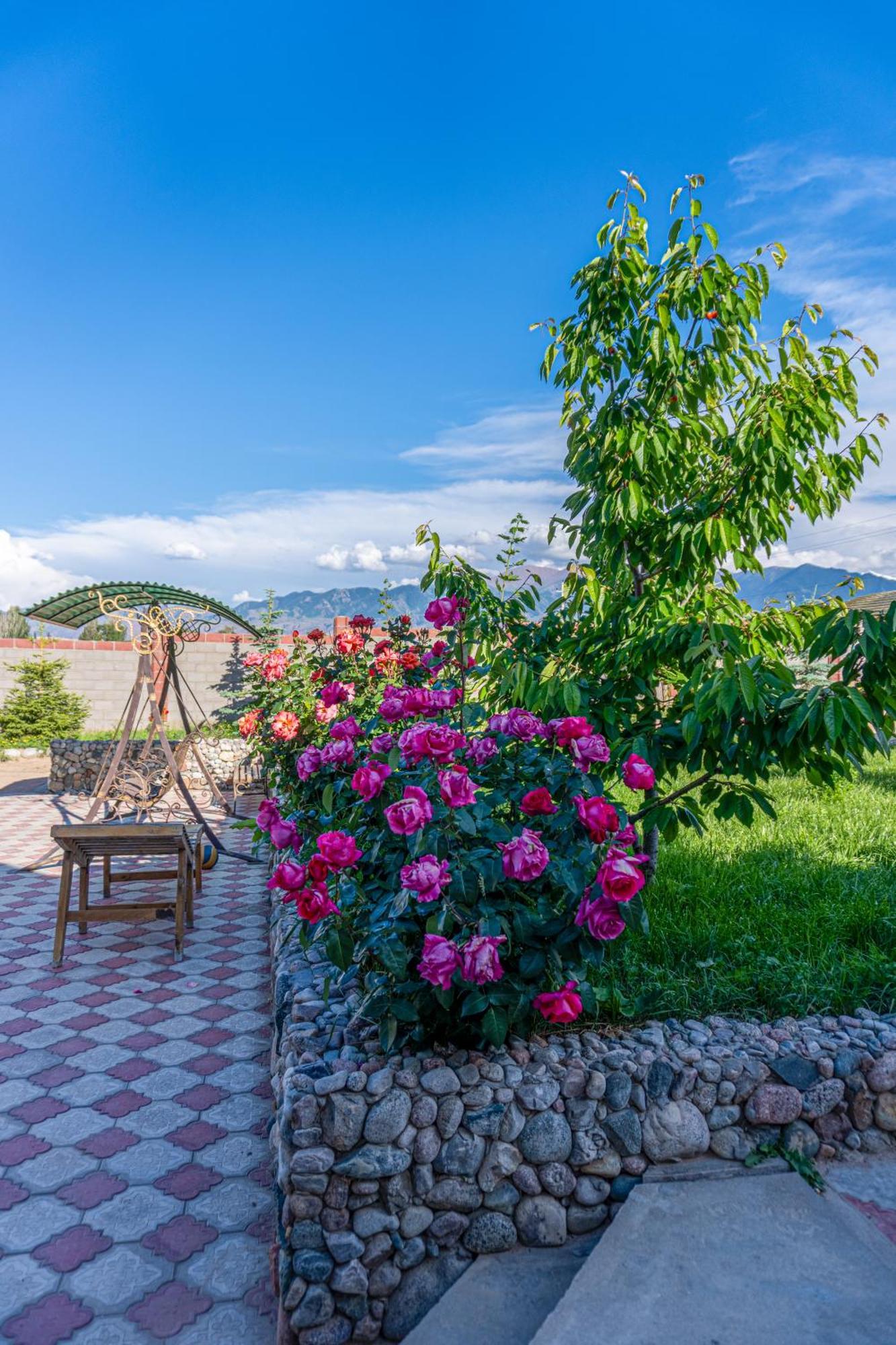Svetlana Guest House Bokonbayevo Extérieur photo