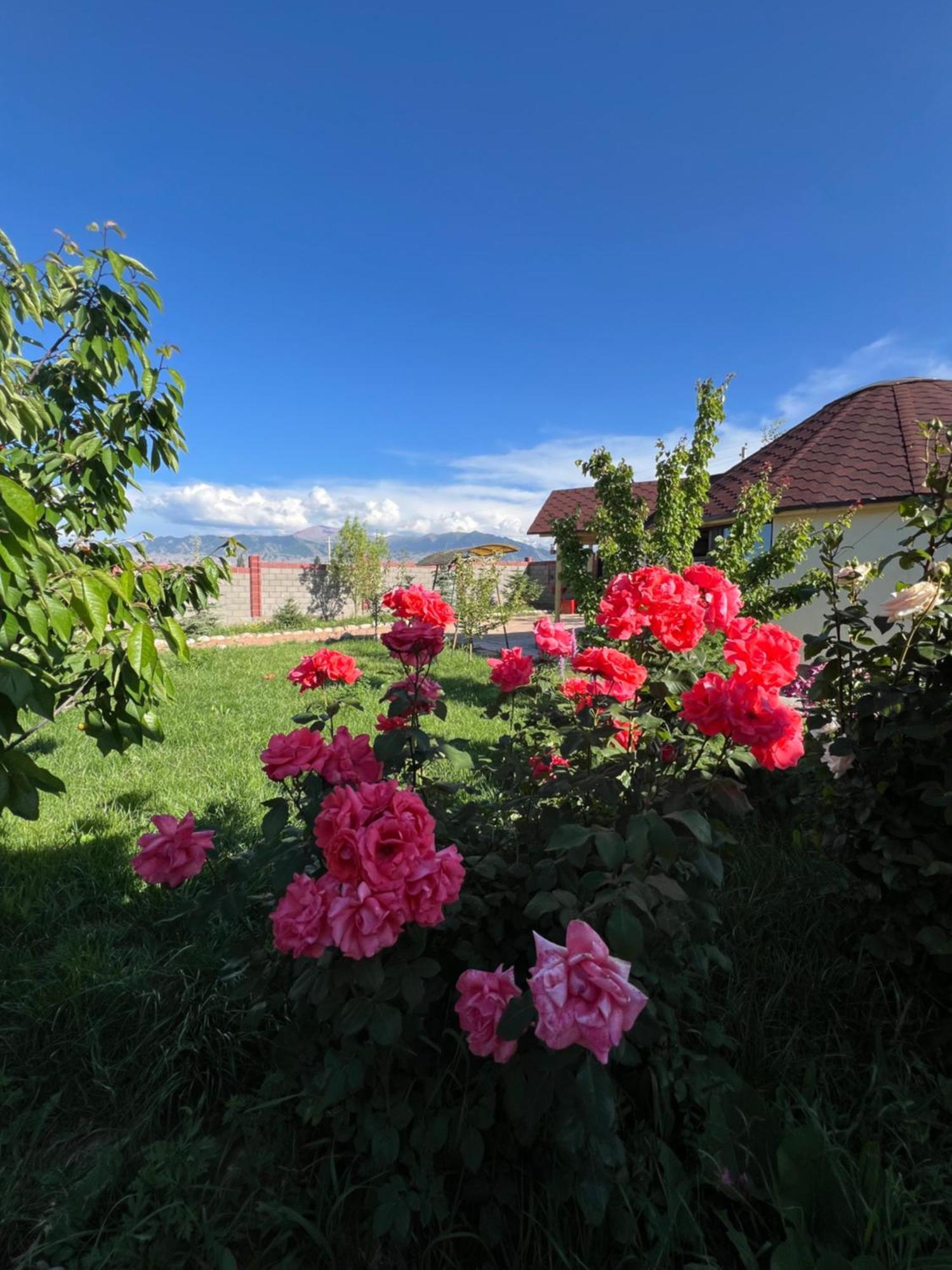 Svetlana Guest House Bokonbayevo Extérieur photo
