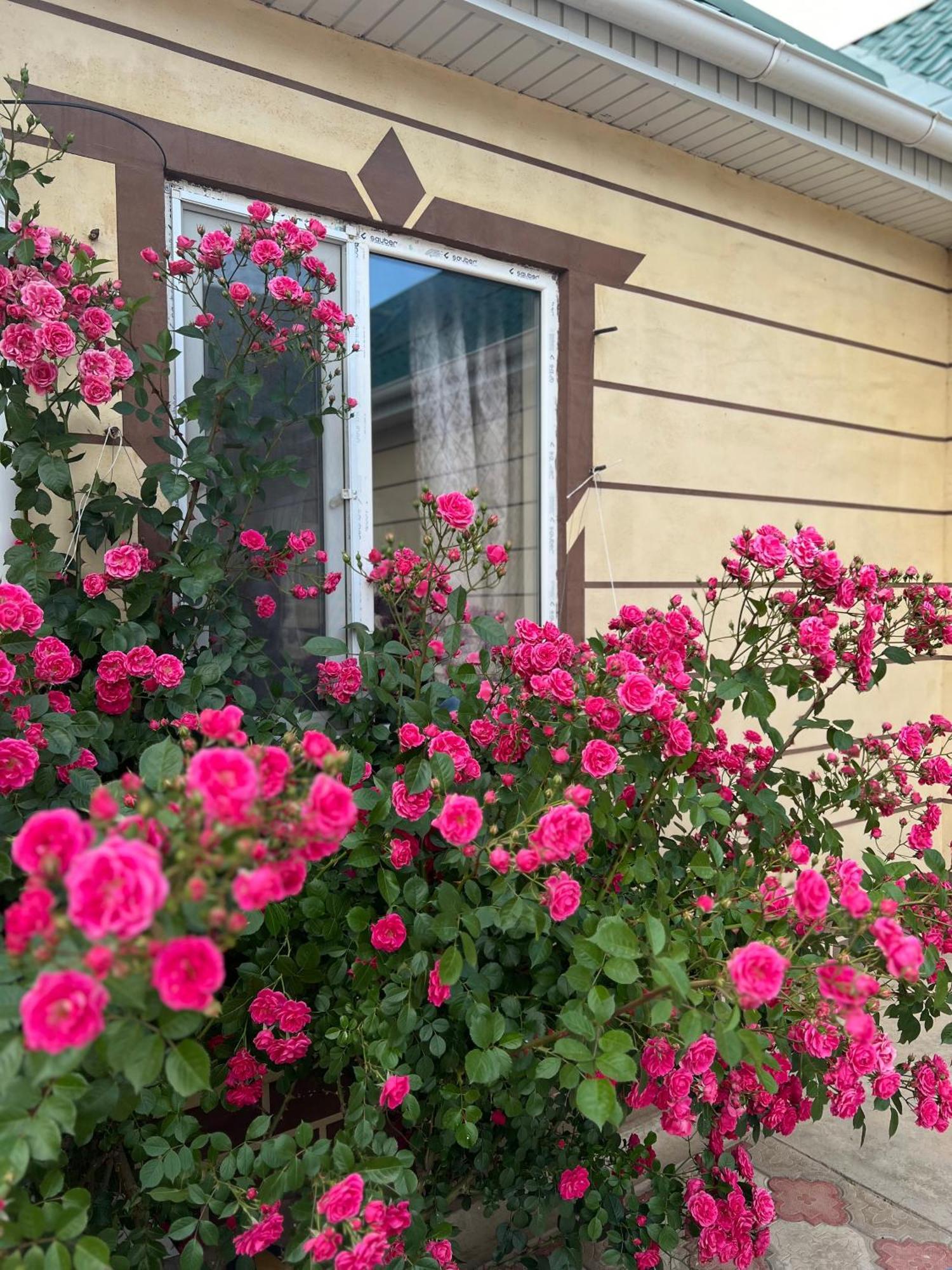 Svetlana Guest House Bokonbayevo Extérieur photo